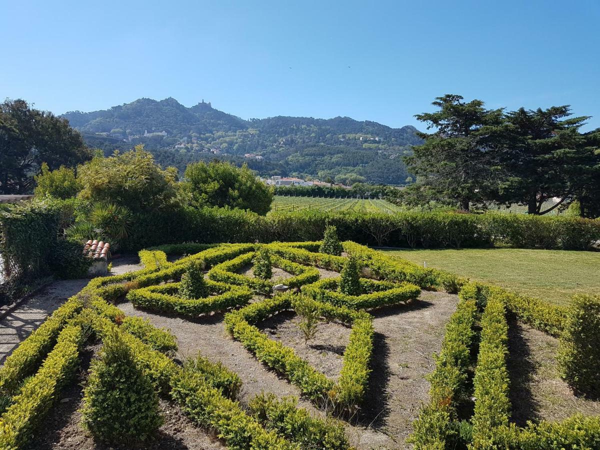 ホテル Santa Maria Casa Nostra シントラ エクステリア 写真